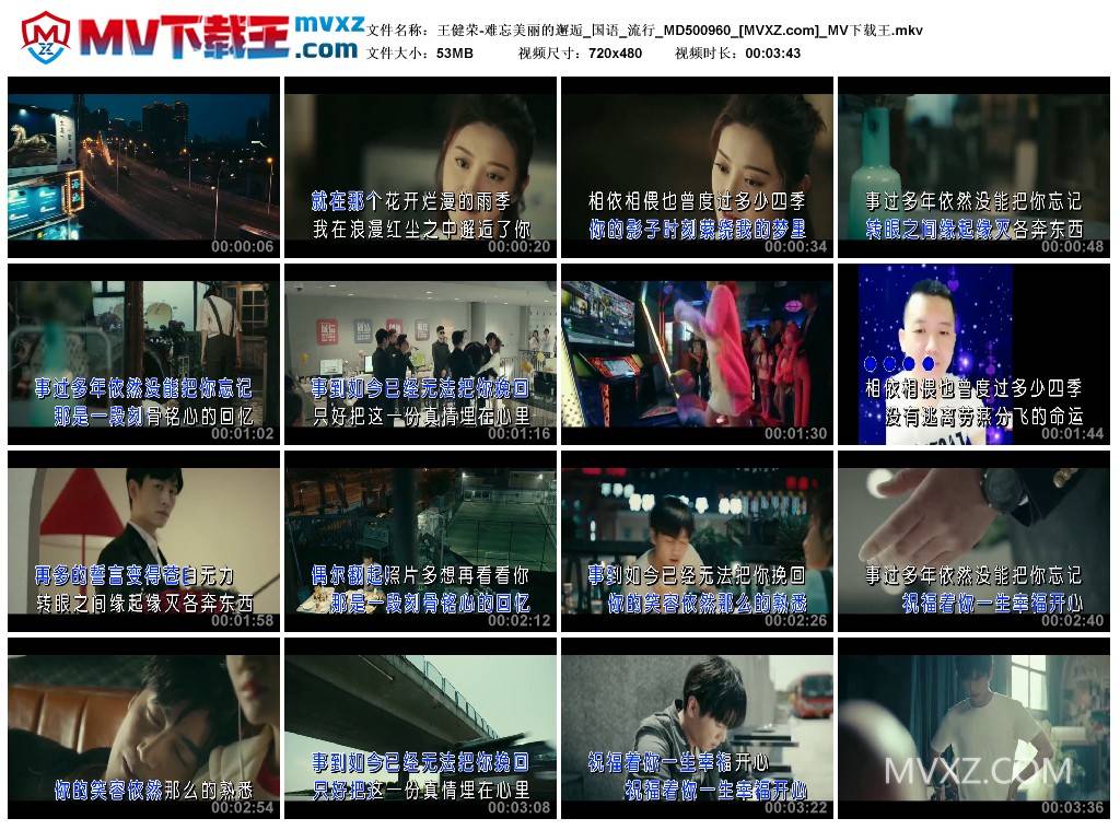 王健荣-难忘美丽的邂逅_国语_流行_MD500960
